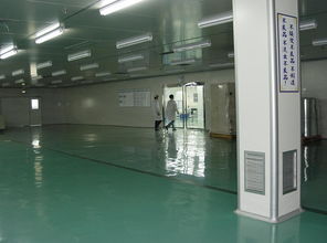 深圳鑫浩装饰 专注南山区前海厂房装修与品牌提升的一站式服务专家